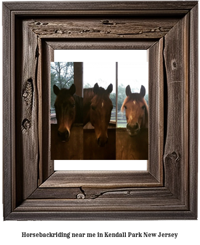 horseback riding near me in Kendall Park, New Jersey